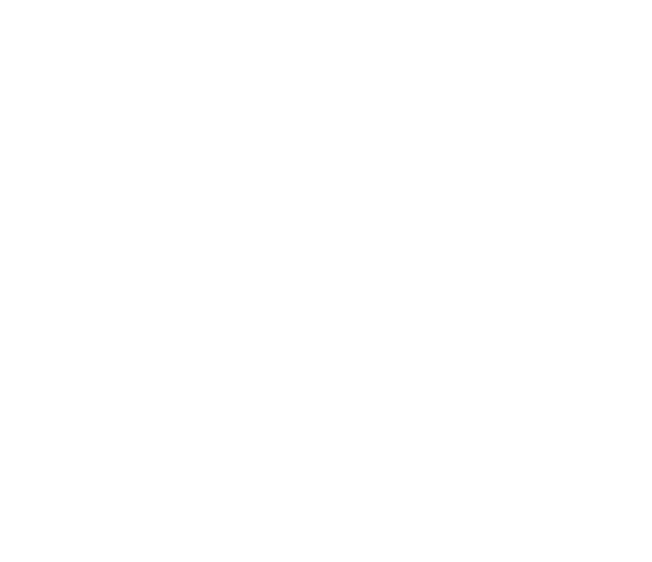 Watermark Logo